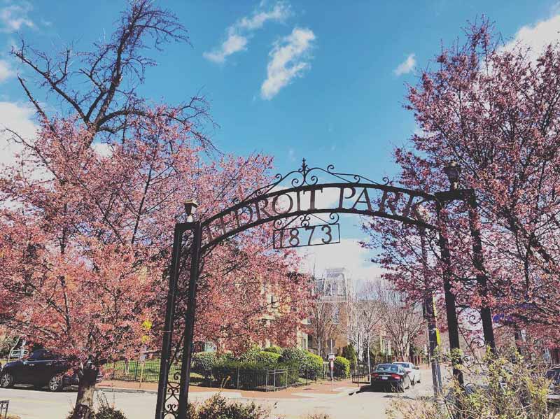 @ashleythart - Springtime at LeDroit Park in Washington, DC - Things to do in Bloomingdale