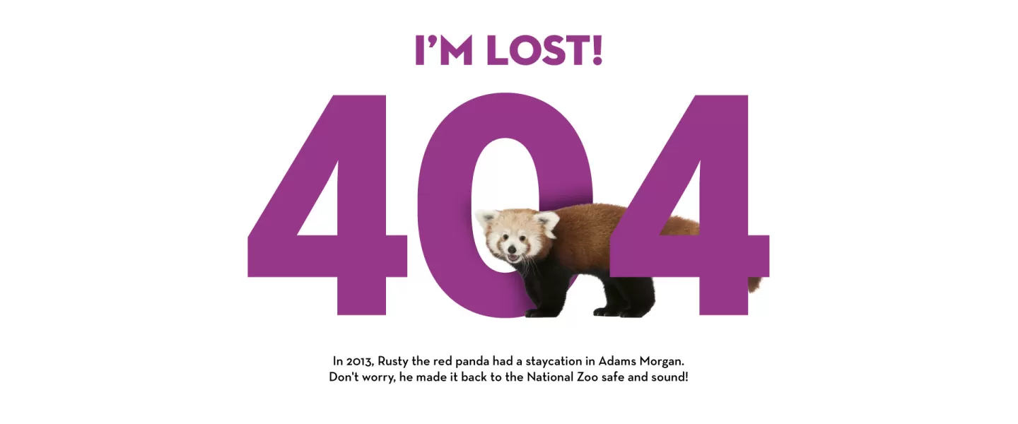 404-image
